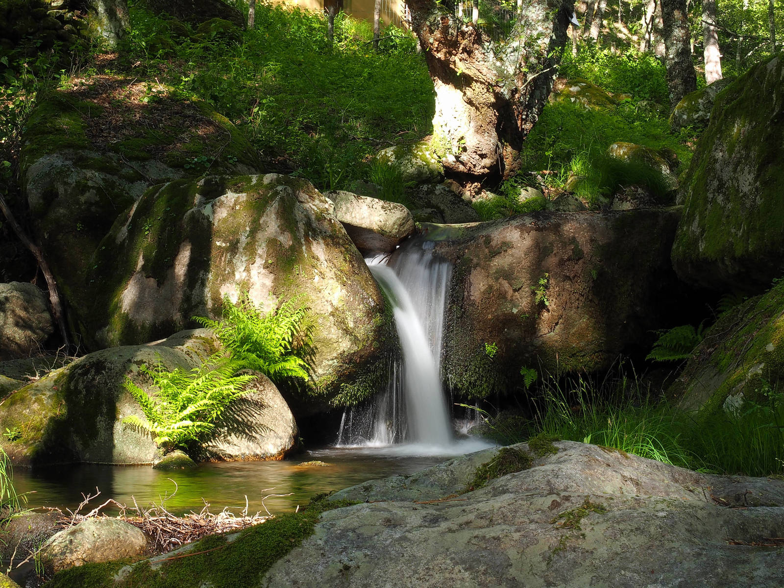 Valle De Iruelas Senderismo Entre Bosques M Gicos Caminantes De Aguere